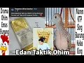 Download Lagu Drama Emas Ohim Dan Burung Perkutut