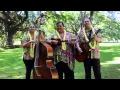 Download Lagu ʻUheʻuhene Moanalua