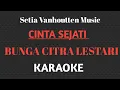 Download Lagu Bunga Citra Lestari - Cinta Sejati ||KARAOKE SETIA VANHOUTTEN MUSIC 