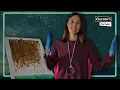 Download Lagu Inca Khipu: The record and writing system made entirely of knots | Curator's Corner S6 Ep9