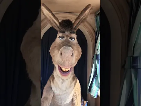 Donkey recognizes The Carpetbagger