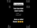 Download Lagu yasir lana kulal umuri waafina