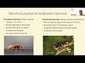 Download Lagu Webinar Aziatische hoornaar NBV | Purmerbij
