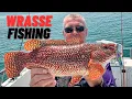 Download Lagu EPIC WRASSE FISHING IN THE SOLENT!! (UK BOAT FISNING)