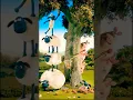 Shaun the Sheep 🐑😂 #shortsfeed #animation #shaunthesheepenglish #funny #edit #music #animals #new