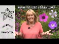 Download Lagu How to Use Geraniums in the Garden \u0026 the Best Ones || Quick \u0026 Easy Guide