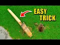 How to Remove a Mailbox Post Fast Easy