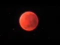 Download Lagu LIVE: Total Lunar Eclipse | Blood Moon 2025 🌕 | with Nikon P1000 + Wide Sky View