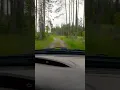 Download Lagu 🚗🌳 Лесная дорога