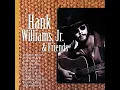 Stoned At The Jukebox - Hank Williams Jr.