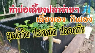 ทำบ่อเลี้ยงปลาง่ายๆข้างบ้าน เลี้ยงเองกินเอง