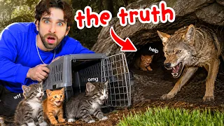 I RESCUED Abandoned KITTENS From a COYOTE ATTACK... (what I didn't tell you)