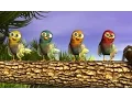 Download Lagu Pajaritos a Bailar - Las Canciones de la Granja de Zenón 1