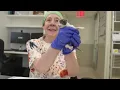 The Best Job in NY City Kitten Specialist at the ASPCA