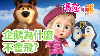 企鵝為什麼不會飛？🐧🪽 9月4日觀看新劇集!