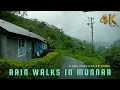 Download Lagu [4K] Cold Rain Walks | Munnar Tea Plantations | Relaxing Nature