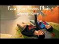 Download Lagu Tera Yaar Hoon Main [Slowed+Reverb] Lyrics - Arijit Singh | Musiclovers | Textaudio