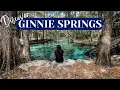 Discover the Beauty of Ginnie Springs in High Springs Florida