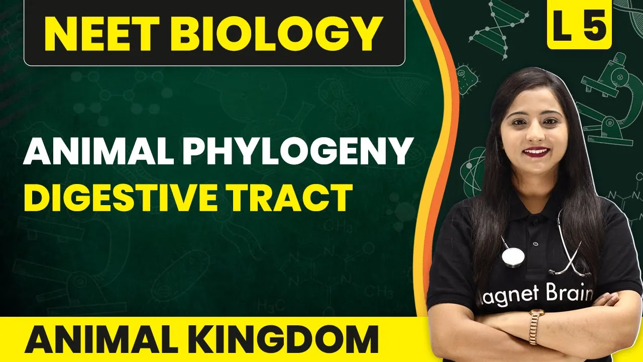 Animal Phylogeny - Digestive Tract | Animal Kingdom - L5 | NEET Biology