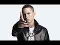 Download Lagu The Slim Shady LP   eminem