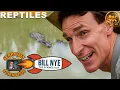 Bill Nye The Science Guy Reptiles - Full Episode