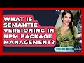 What Is Semantic Versioning In Npm Package Management - Server Logic Simplified