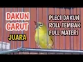 Download Lagu Pleci Dakun Roll Tembak Pleci Juara Dakun Garut
