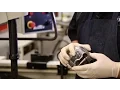 Measuring Piston to Wall Clearance
