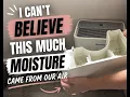 Eliminate Moisture with This Dehumidifier Review
