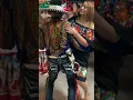 Pulga de Palmview Texas