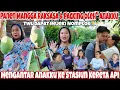 Lagu PANEN MANGGA RAKSASA BUAT ANAKKU‼️SAT SET MASAK AYAM SUWIR KEMANGI || REVIEW MANGGA SEBELUM PULANG 