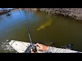 Fishing a SMALL RIVER for GIANT MUSKIES 12 MUSKY IN ONE DAY