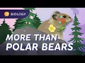 The Effects of Climate Change Crash Course Biology