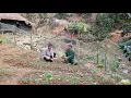Download Lagu Een vriendelijke man en alleenstaande moeder hebben dor land omgetoverd tot een weelderige moestuin