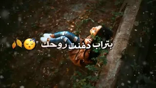 حبيب علي و نور الزين عكس دنياي مع كلمات بدون حقوقو 