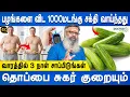 கொழுப்பு கரையும் இளமை வரும் | Belly fat reduce ,control sugar and cholestrol tips | Wellness guruji
