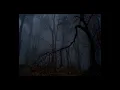 Poison Tree by Grouper, but you’re in a forest and it’s raining
