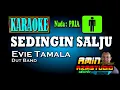 Download Lagu SEDINGIN SALJU || Evie Tamala || KARAOKE Nada PRIA