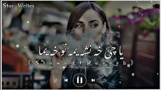 ya che kha nasha yama no kha yama tiktok viral song staso har k khalaq pa rangono mra slowed reverb 