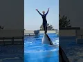 Download Lagu Dolphin Attack Trainer Jessica | Jessica Radcliffe Orca Attack #shorts #reel #news