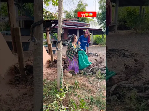ถ้าไม่เสียงดัง เเค่นี้ก็เรียบร้อย🤫 #shorts  #shortvideo  #funny  #haha