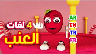 العنب باللغات الأربع العربية الإنجليزية التركية الفرنسية طيور بيبي Toyor Baby 