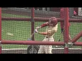 A dream come true local newcomers excited to suit up for FSU Baseball