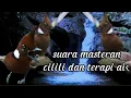 Download Lagu MASTERAN CILILIN JERNIH DAN TERAPI AIR