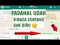Lagu Cara Baru Menonaktifkan Centang Biru Di Whatsapp