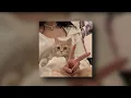Download Lagu Rihanna - Where Have You Been (sped up)