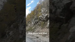 You Can Fly Just Believe 