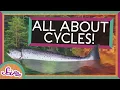 From Seasons to Salmon All About Cycles SciShow Kids Compilation