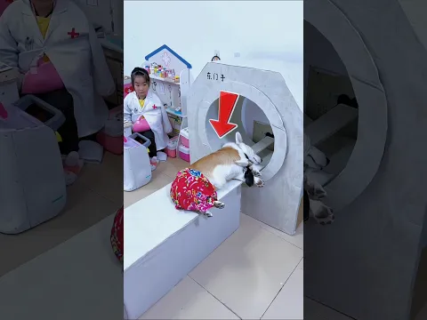 Dog aur chhoti doctor #dog #dogs