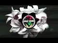 Shenshea - Pon Mi (TolzDee remix) 2025🇻🇺